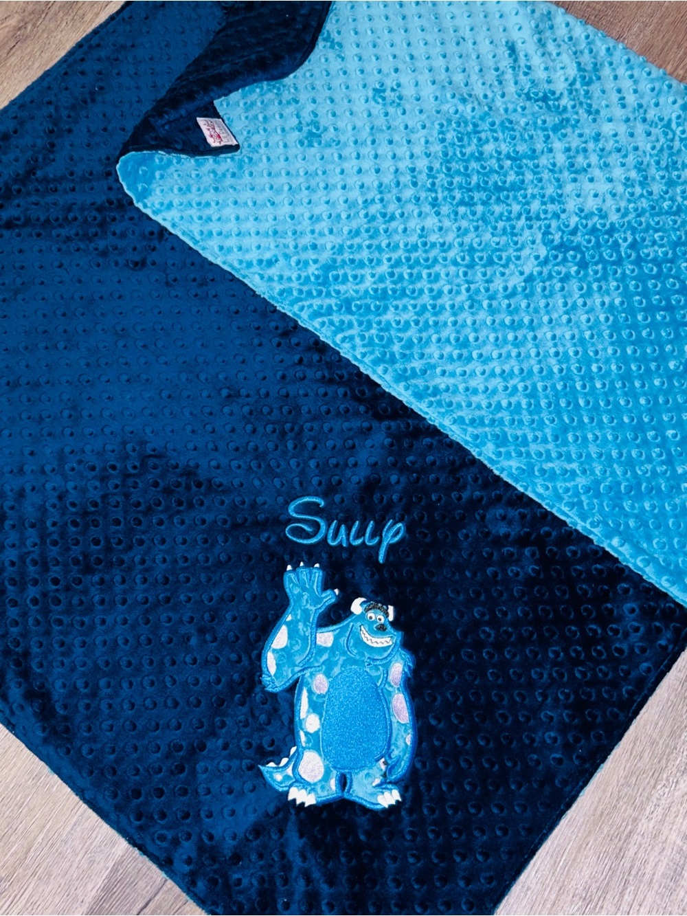 Handmade Monsters Inc Minky Plush Blanket with Embroided Sully - Large Size